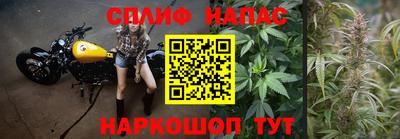 мяу мяу мука Усть-Илимск